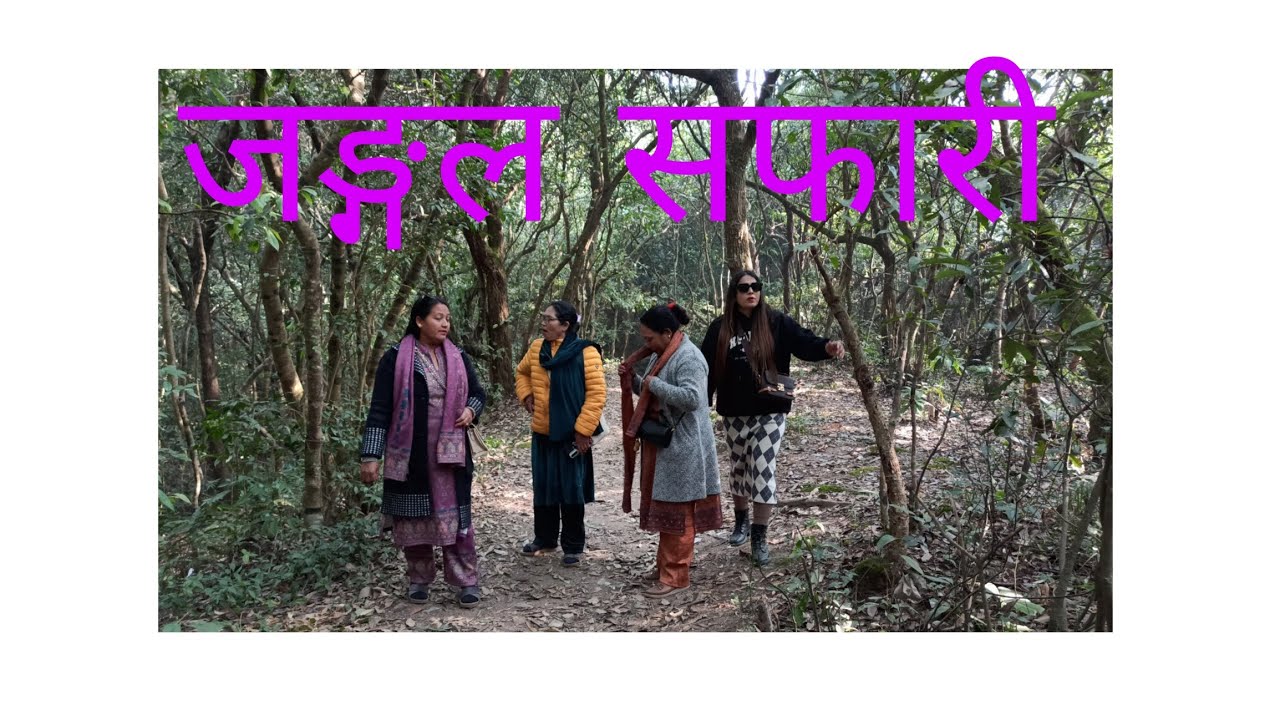 जङ्गल सफारी@साँखु/घुम्नै पर्ने ठाउँ एकचोटी हजुरहरु पनि अवश्य जानुस् होला है।
