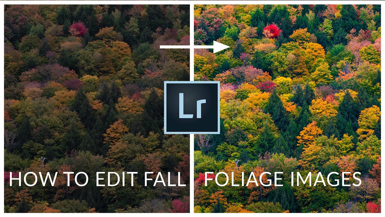 How To Edit Fall Photos For The Best Color