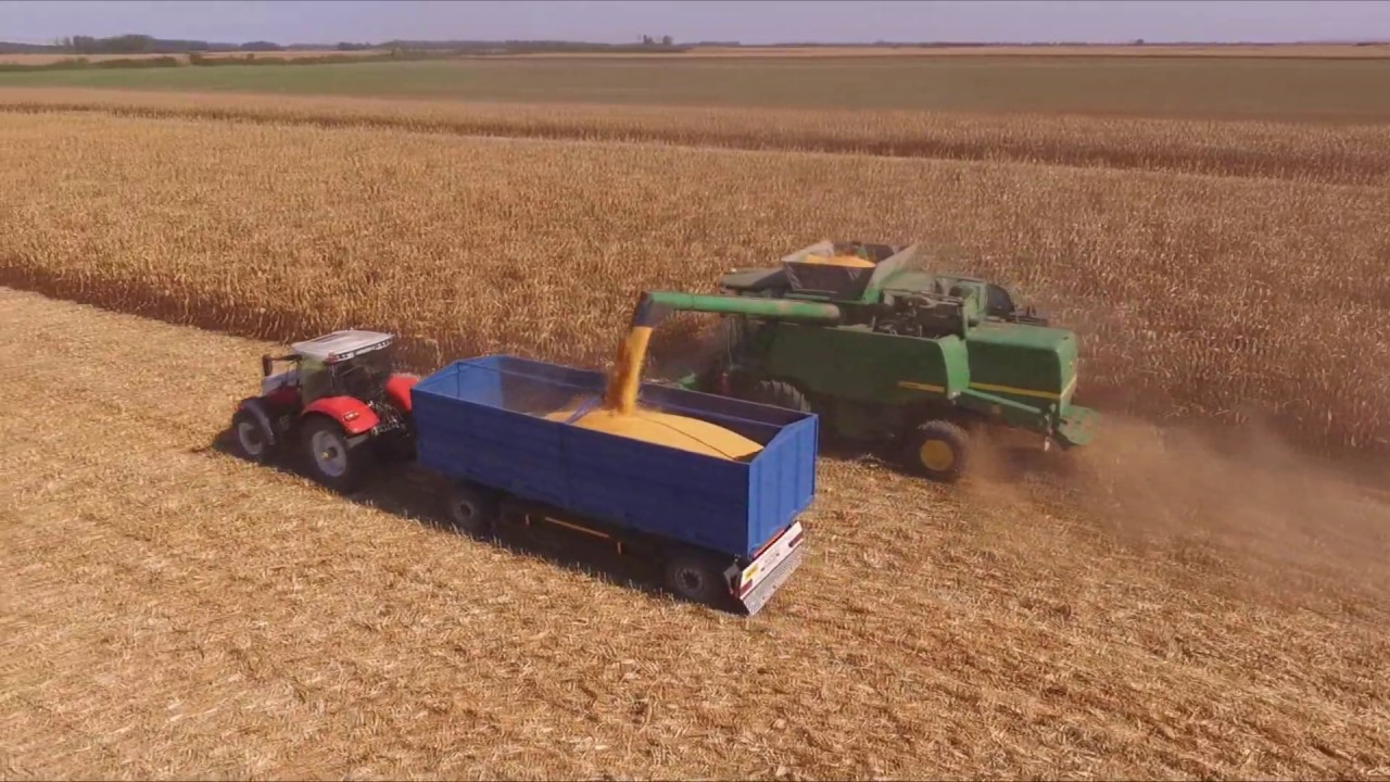 [2019]SZAB&Oacute; FARM - Kukorica betakar&iacute;t&aacute;s/Corn harvest