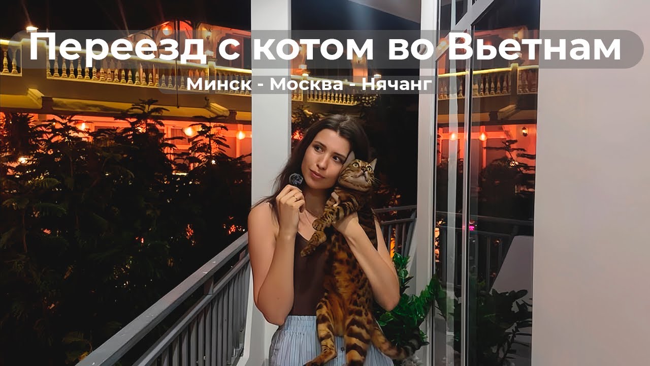 Переезд с котом во Вьетнам | Минск - Москва - Нячанг  