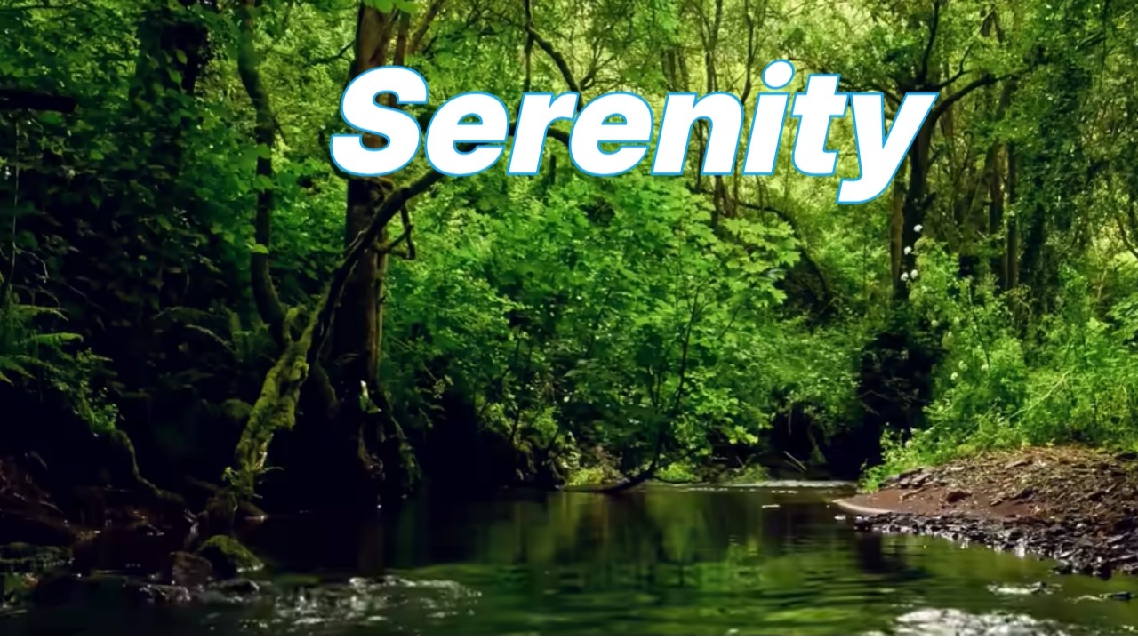Little Forest Healing Music