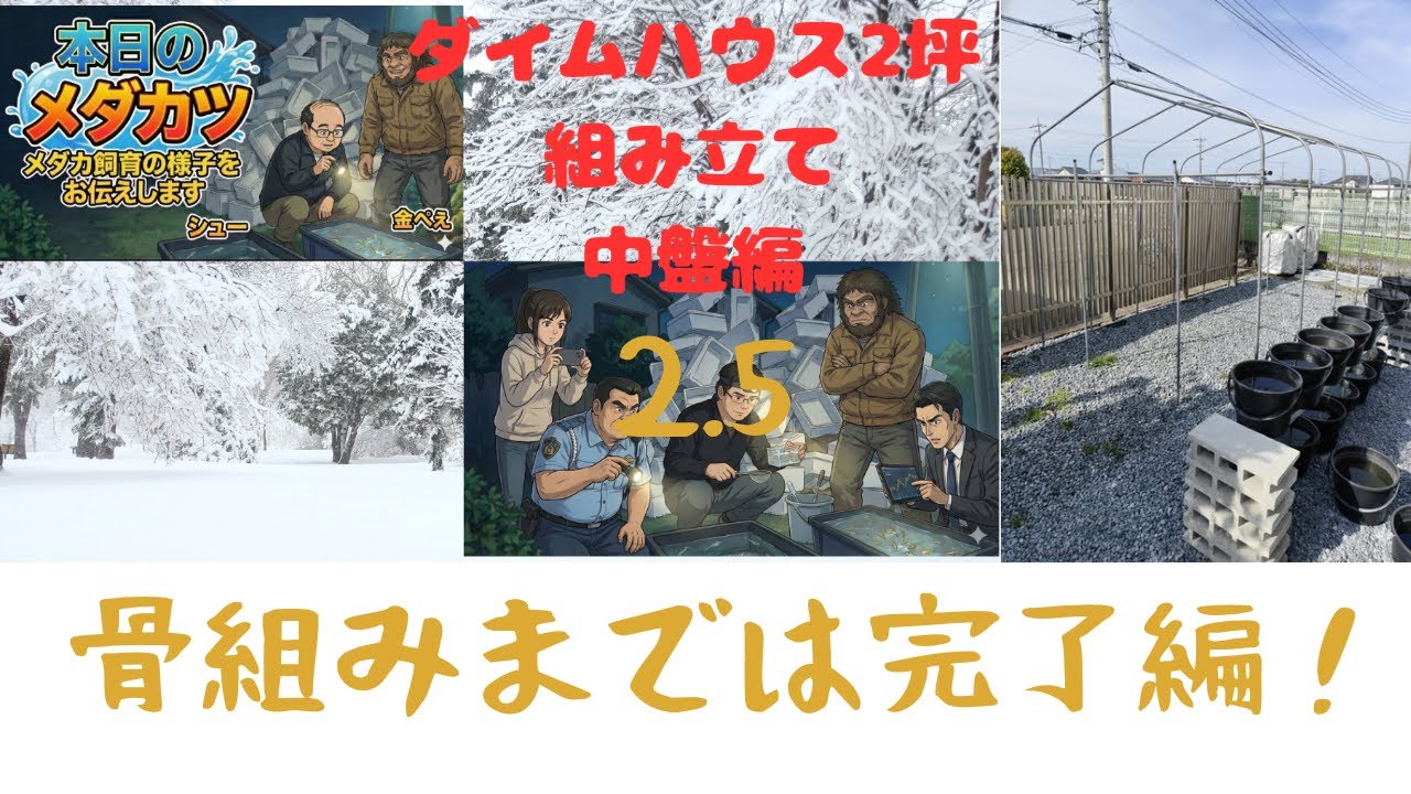 【前代未聞】めだか太郎、不眠で巨大ハウス設営に挑む！ガチで抜けない杭との死闘…10cmのミスが招いた最悪の事態とは！？撮影機材も一新してガチ勢の領域へ！