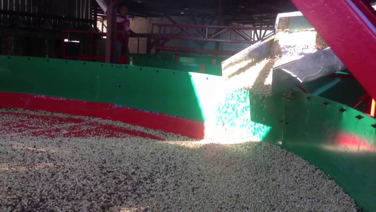 Secadora de caf&eacute;