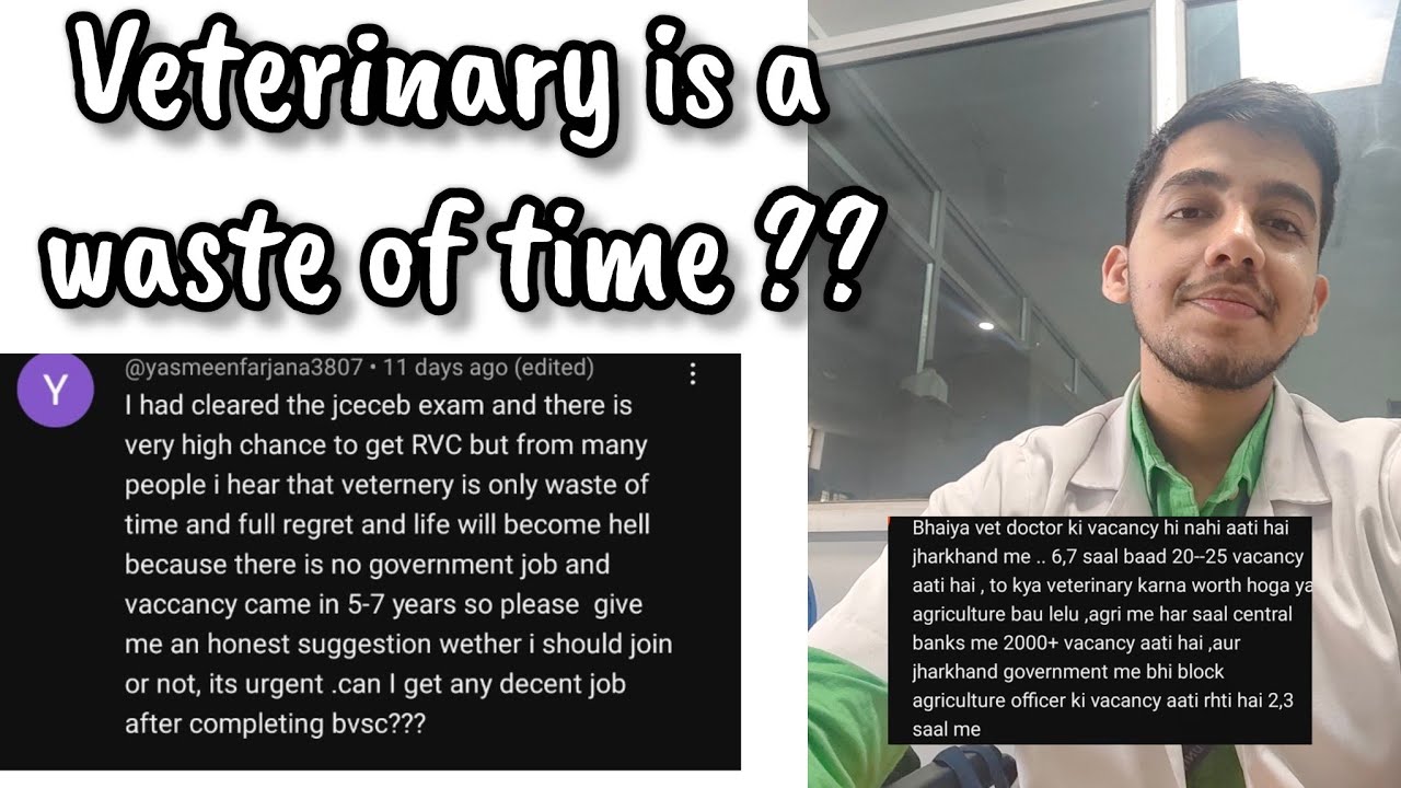 Is Veterinary really  worth it? BVSCAh discussion | vetlifenihal @nihaltalks-u2d 