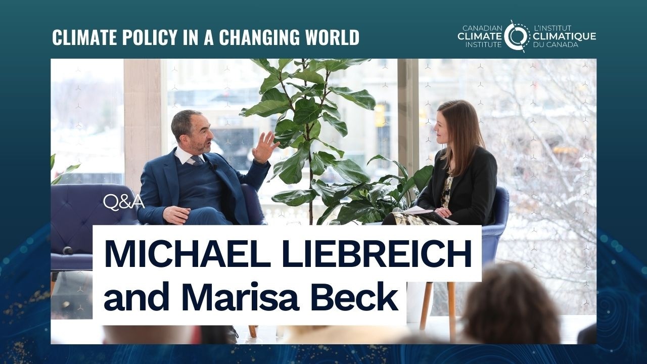 Q& A with Michael Liebreich - Climate policy in a changing world