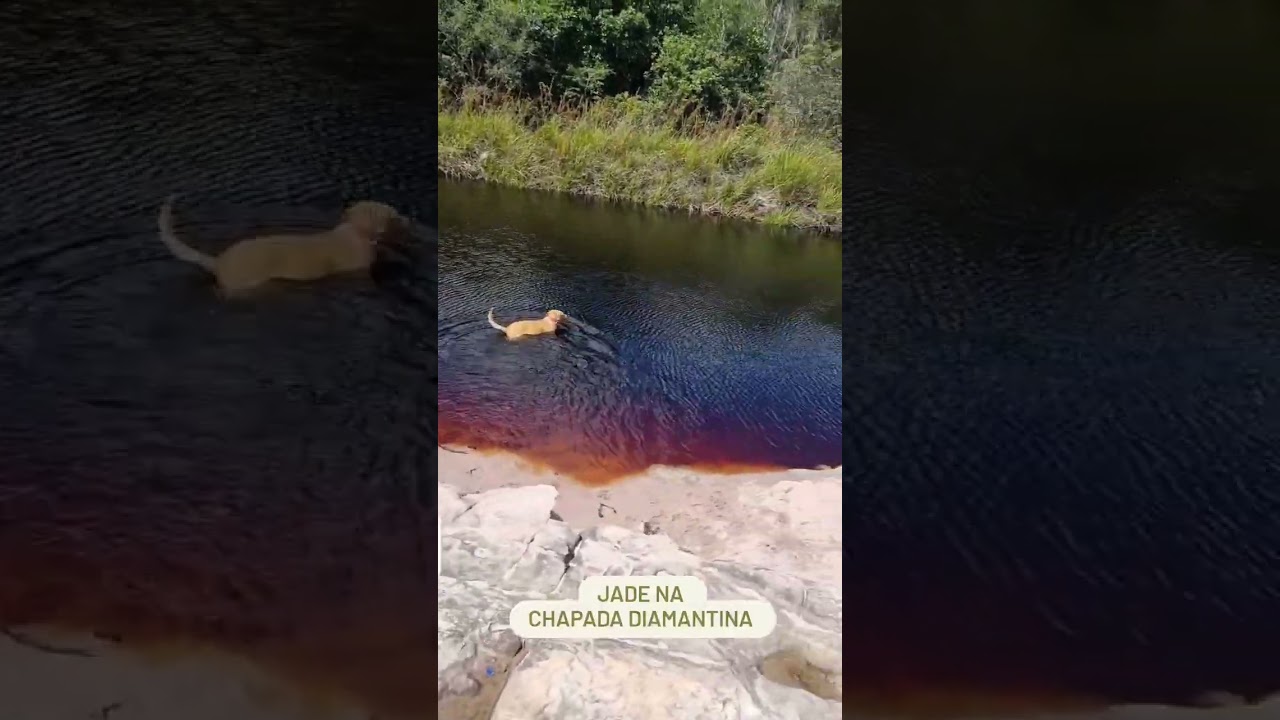 Inscreva-se no canal e acompanhe nossa hist&oacute;ria.