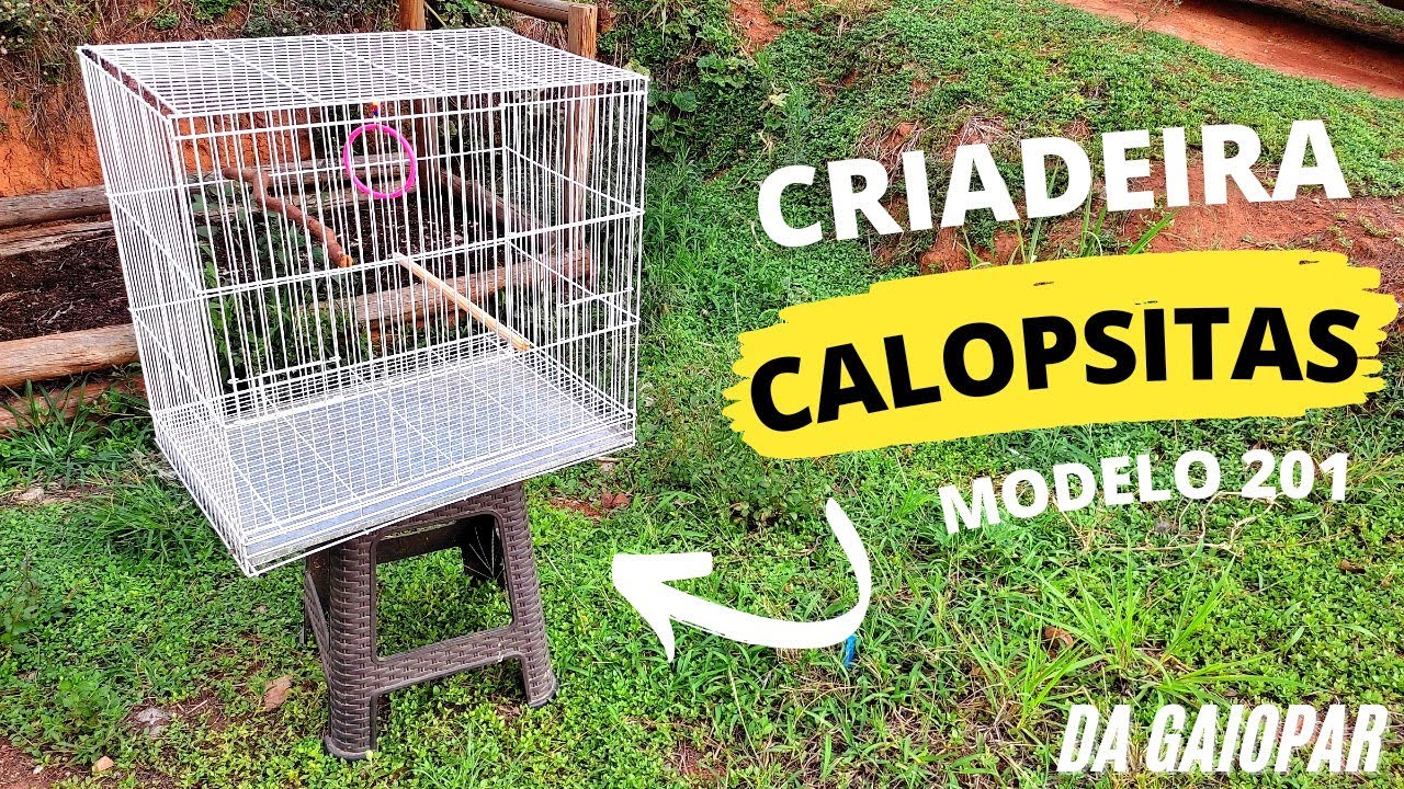 CRIADEIRA PARA CALOPSITA, AGAPORNIS, RED RUMP,  KAKARIKI  etc