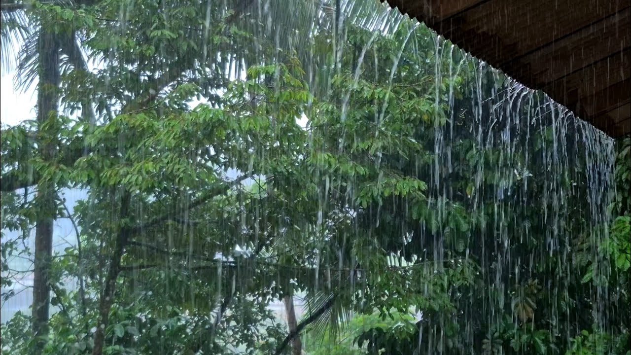 Natural Rain Sounds on a Country House's Asbestos Roof 🌧️ Authentic Countryside Rain Sounds for Deep