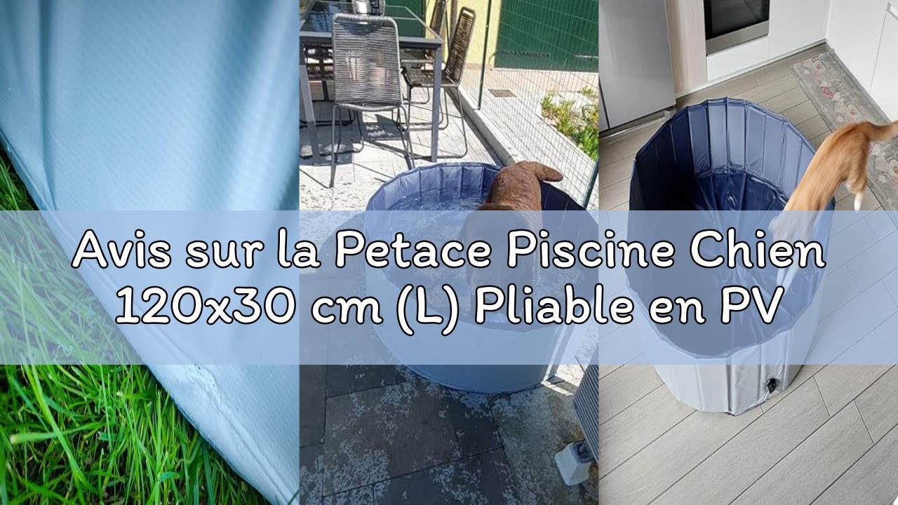 Avis sur la Petace Piscine Chien 120x30 cm (L) Pliable en PVC Résistant à l'usure, Piscine pour Chie