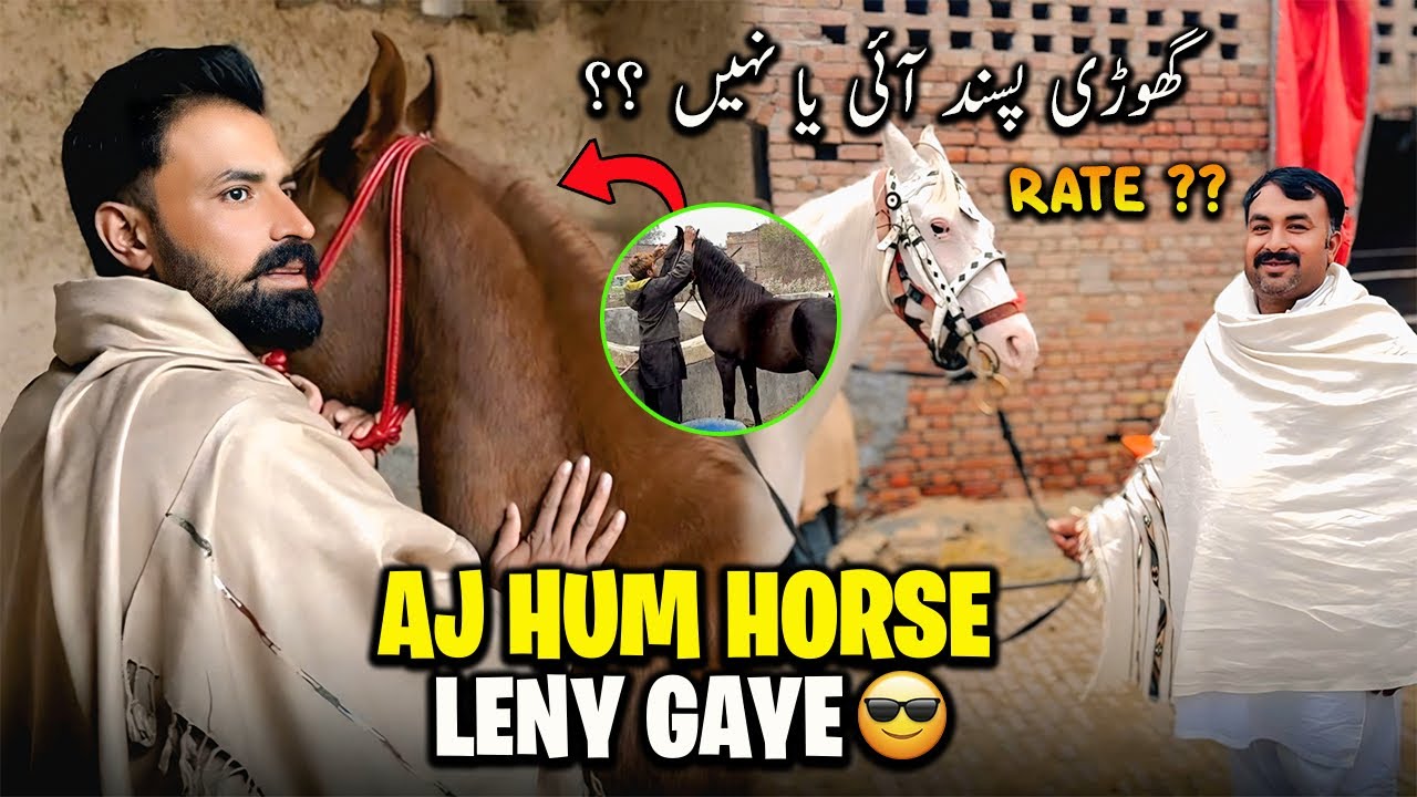 Aj Waqar Bhinder Horse Leny Gaya 🐴🔥 | گھوڑی پسند آئی یا نہیں کتنے کی مل رہی ؟؟