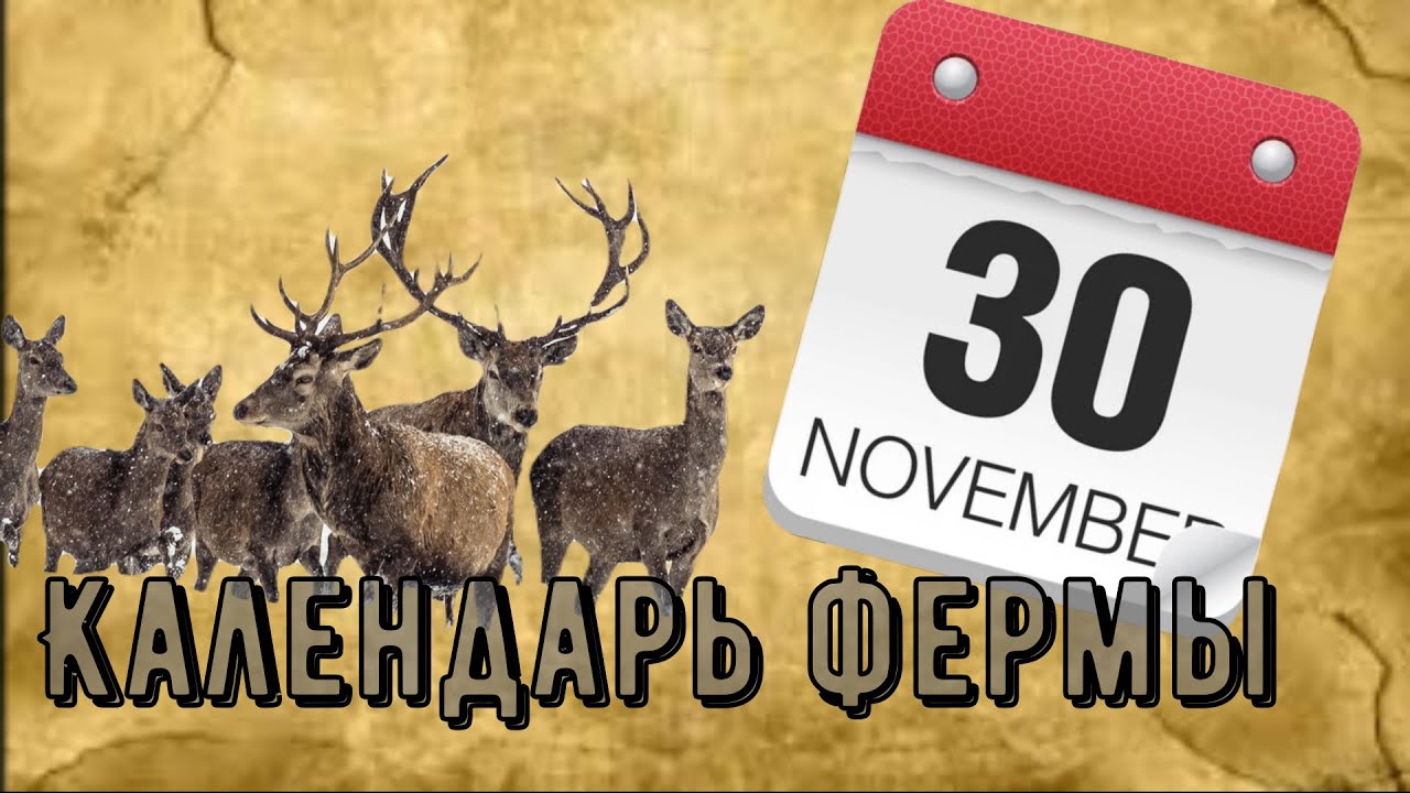 Оленья ферма. Календарь события