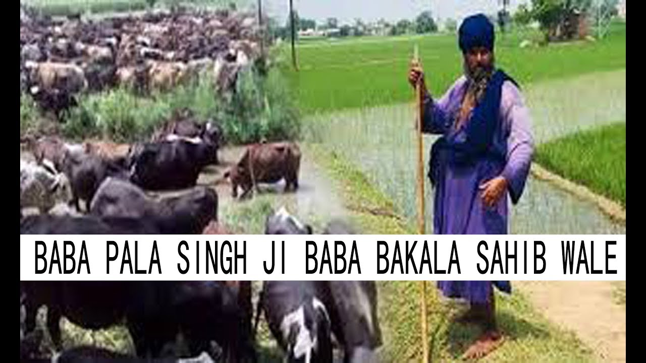Darshan Baba pala singh ji ਬਾਬਾ ਪਾਲਾ ਸਿੰਘ ਜੀ Baba bakala sahib wale,