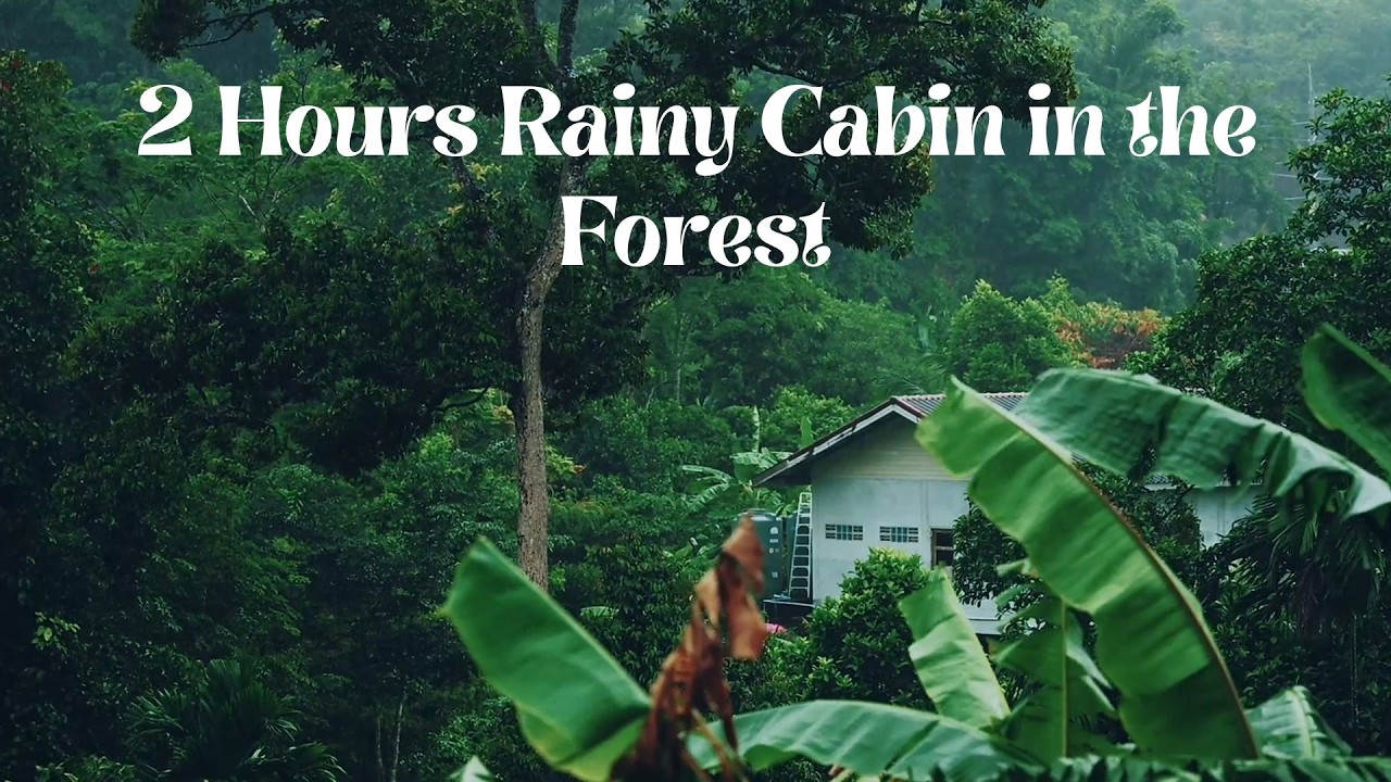 2 Hours Rainy Cabin in the Forest | Night Rain & Wind Sounds for Sleep and Relaxation