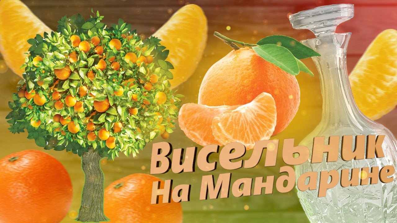 Настоянка на Мандарині Рецепт (Mandarin tincture. Recipe) (Настойка на Мандарине. Рецепт)