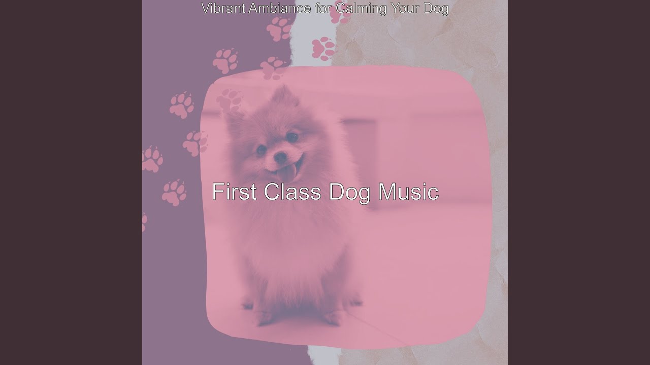 Distinguished Music for Training Dogs
