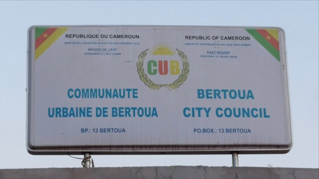 LE CAMEROUN, COMME IL VA ... 