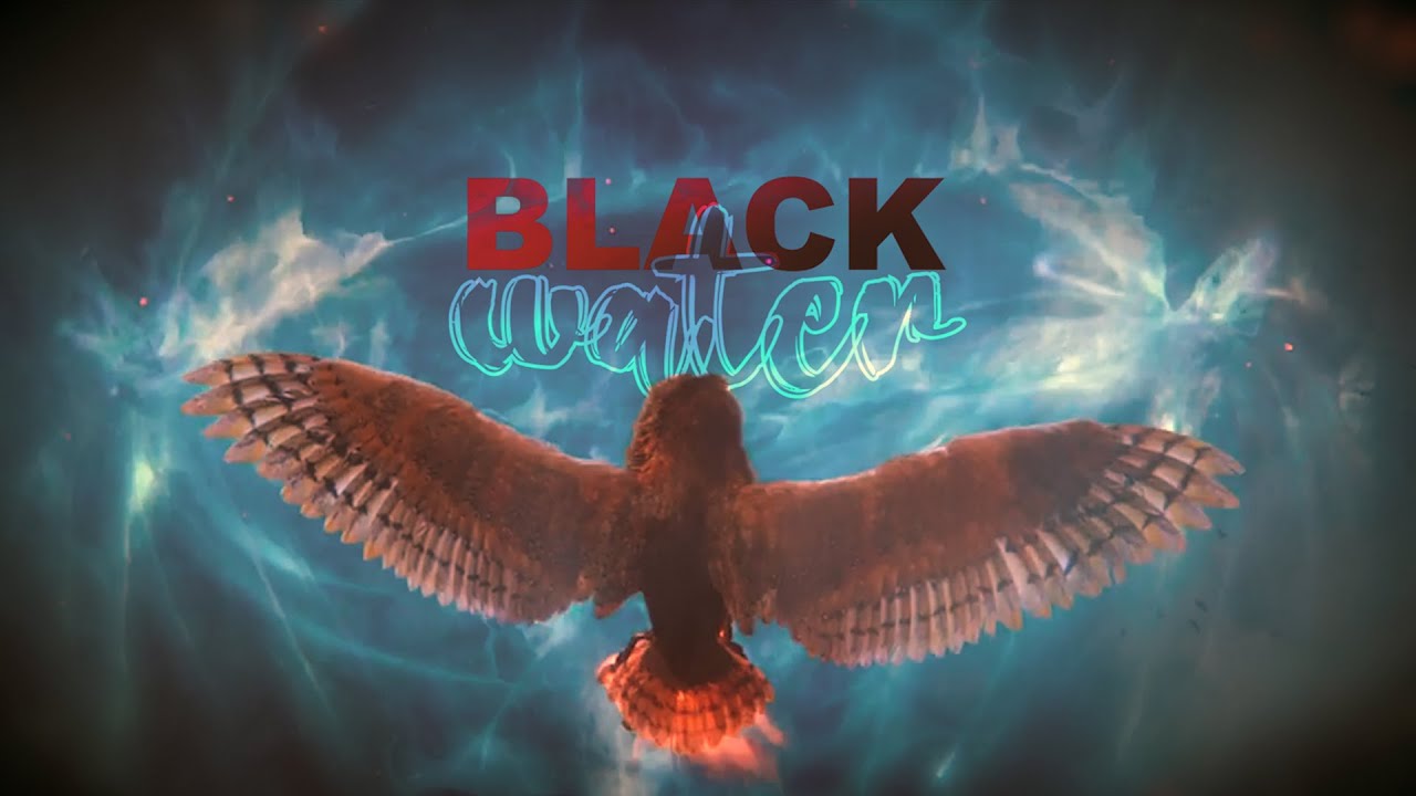 Black Water || Animash