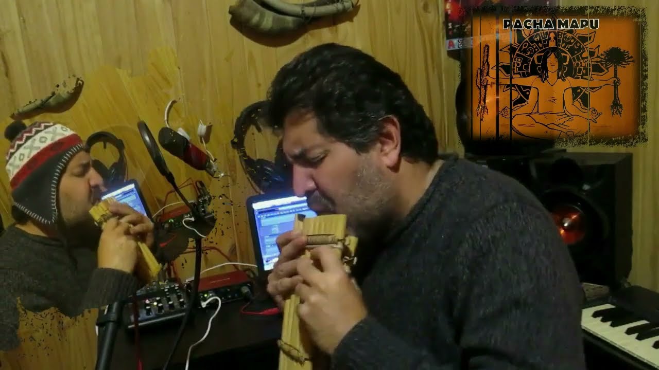 Pillanes Del Bosque - Pacha Mapu (música Andina)