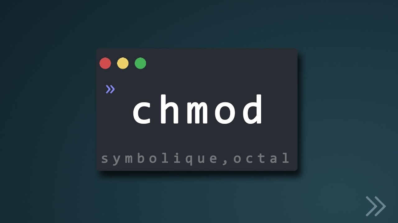 15- commande de base linux : Gestion des droits : chmod