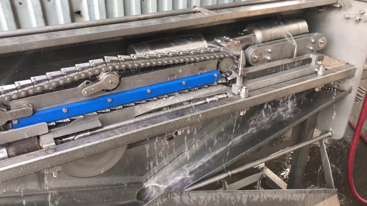 Gizzard harvester from Dutch Poulty tech - Pluck and play poultry processing solutions