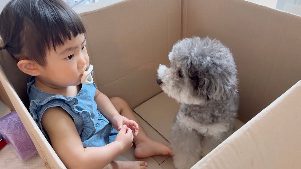 땔레야 뗄 수 없는 사이가 된 아기와 강아지!