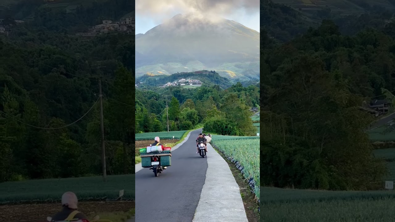 suasana pagi sebuah desa di Magelang , #semuaorang #magelang #magelangraya