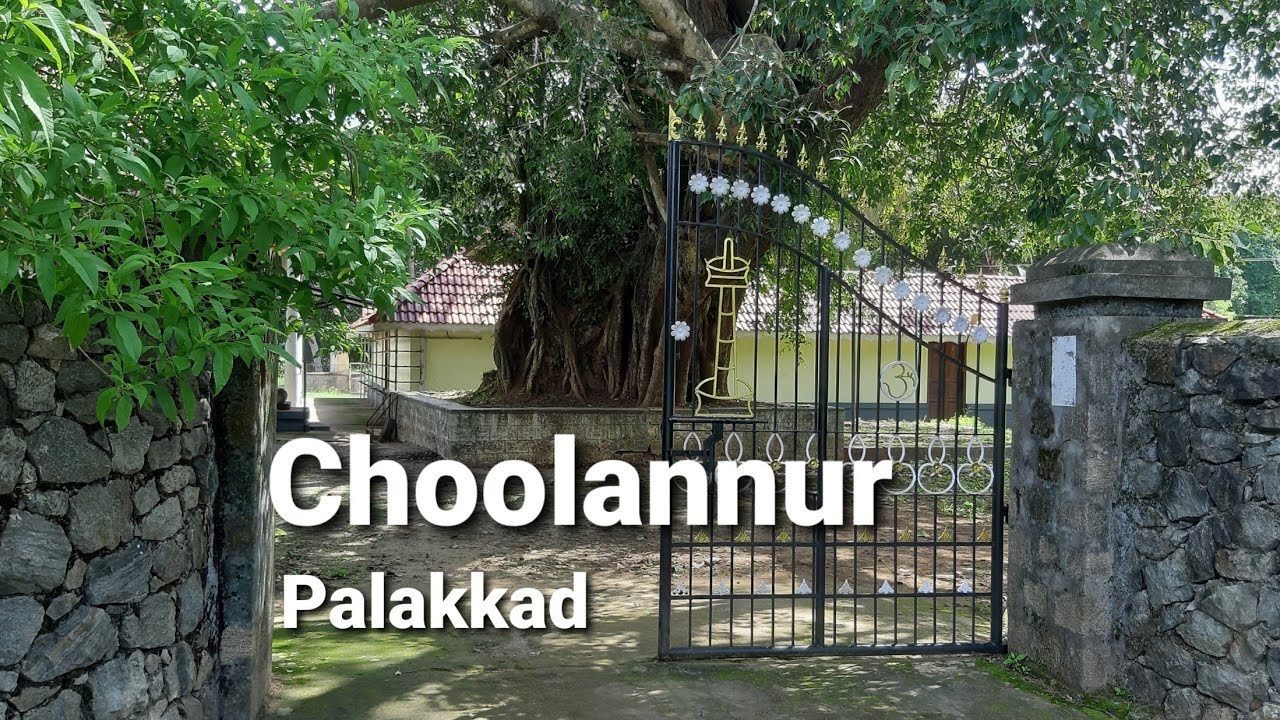Peacock sanctuary | Choolannur Shiva kshethram |