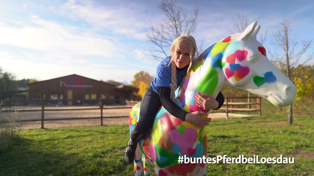 #buntesPferdbeiLoesdau