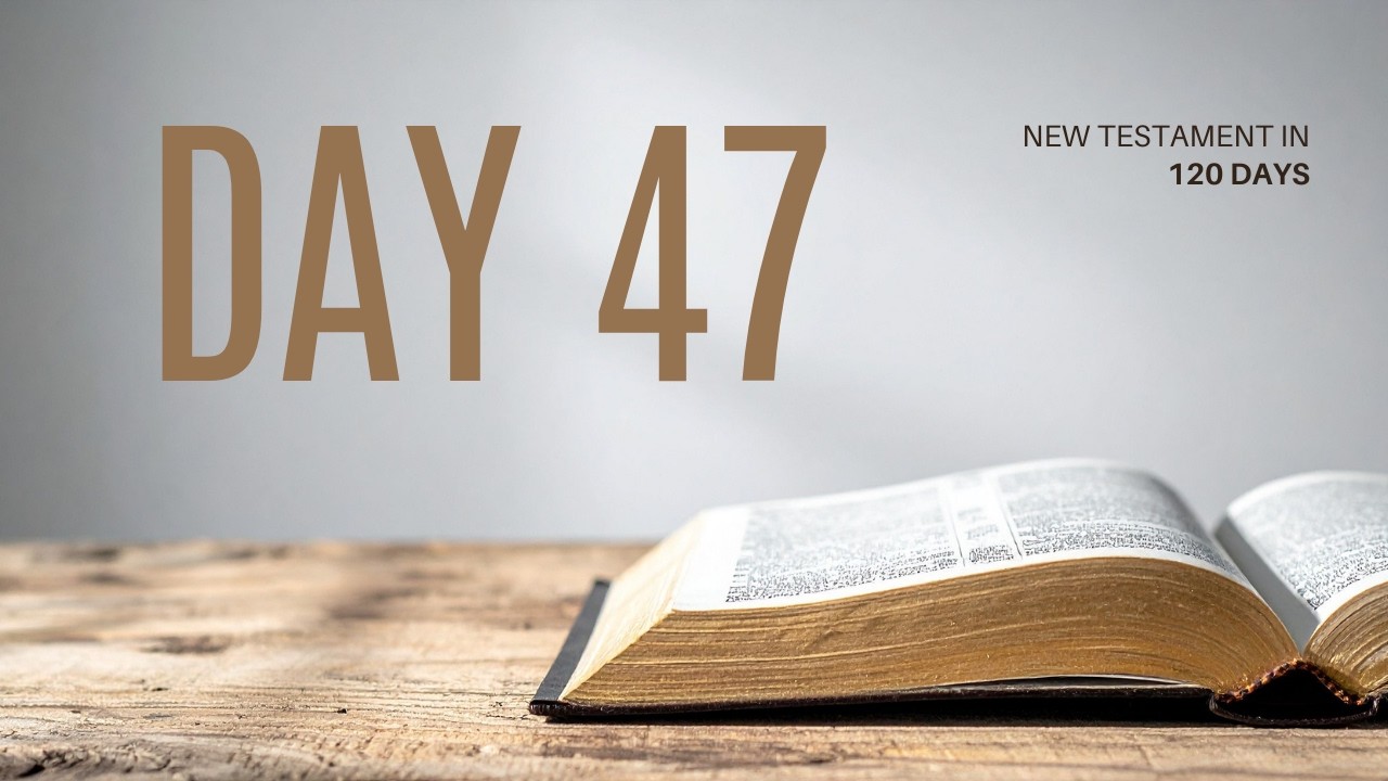 Day 47 | New Testament in 120 Days | Acts 3-4
