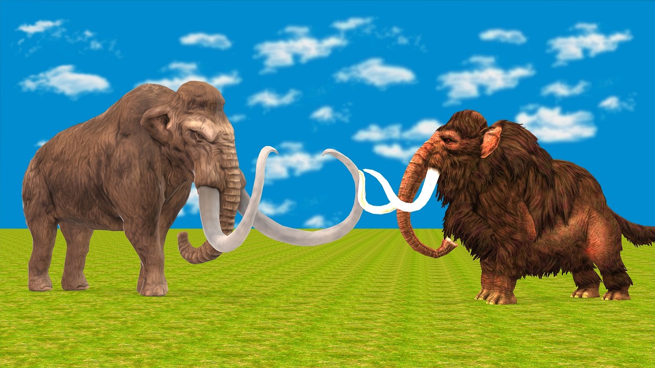 3 Giant Lion Attack Cow Cartoon Saved By Woolly Mammoth Vs African Elephant Vs Giant Bulls
