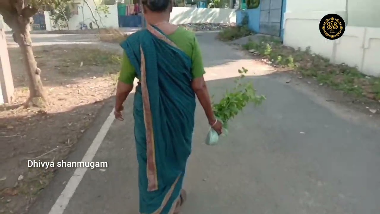 வீட்ல இருந்து செடி கடை  டூர் video #Dhivya shanmugam# channel cuddalore subscribe