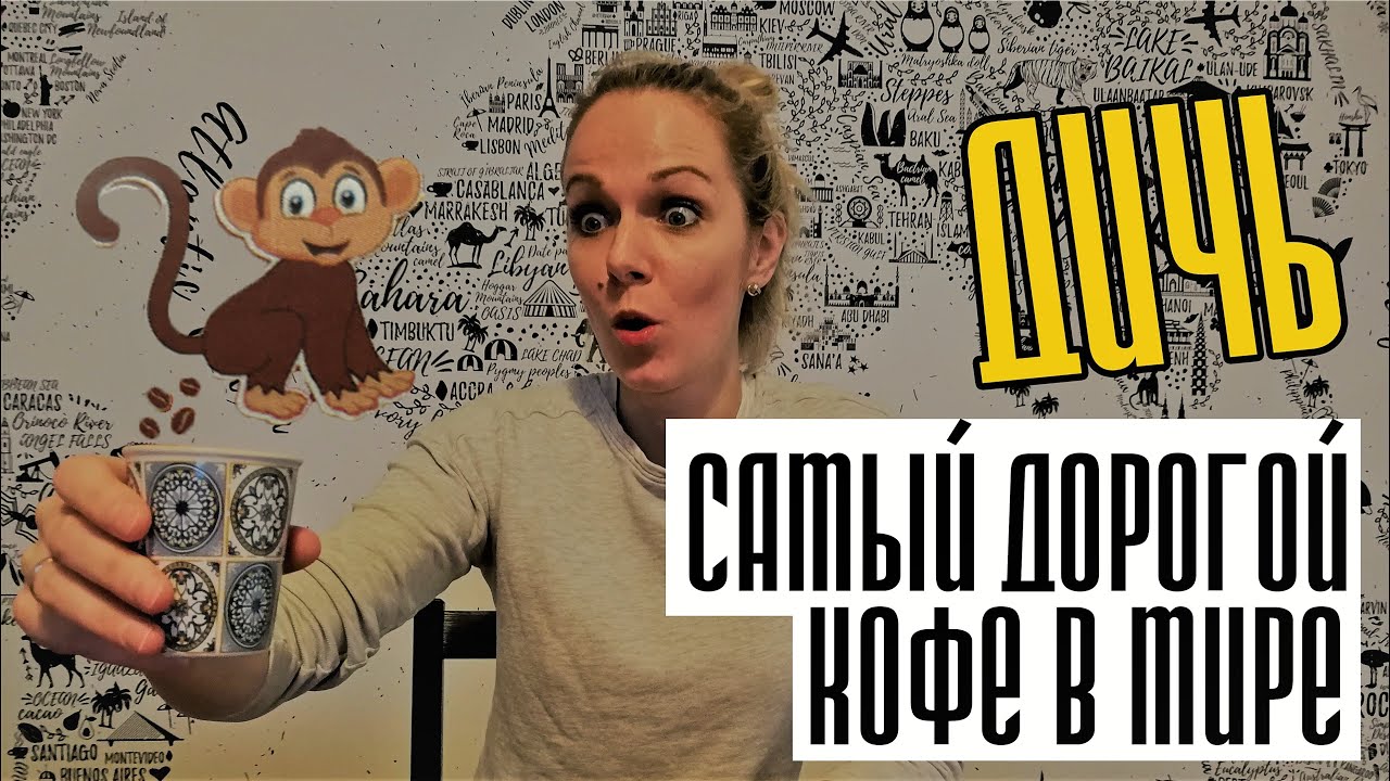 🦢Дичь: Самый дорогой кофе в мире!