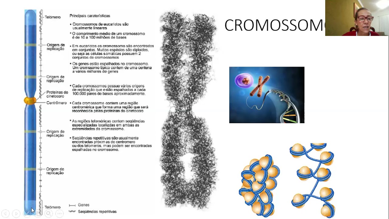AULA 28 - Estrutura do cromossomo