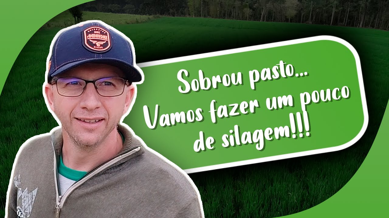 Será que vai dar boa a silagem do pasto que sobrou???