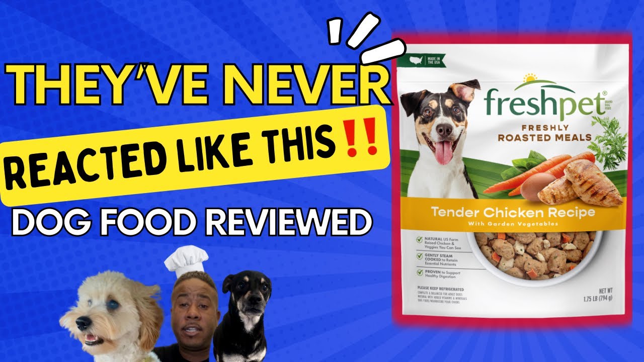 What Is Freshpet Dog Food? Real Review with My Dogs (2025)!