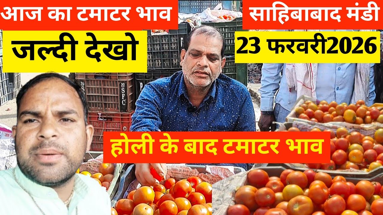 Why This Indian Mandi is Full of Tomatoes🍅आज का टमाटर  भाव 