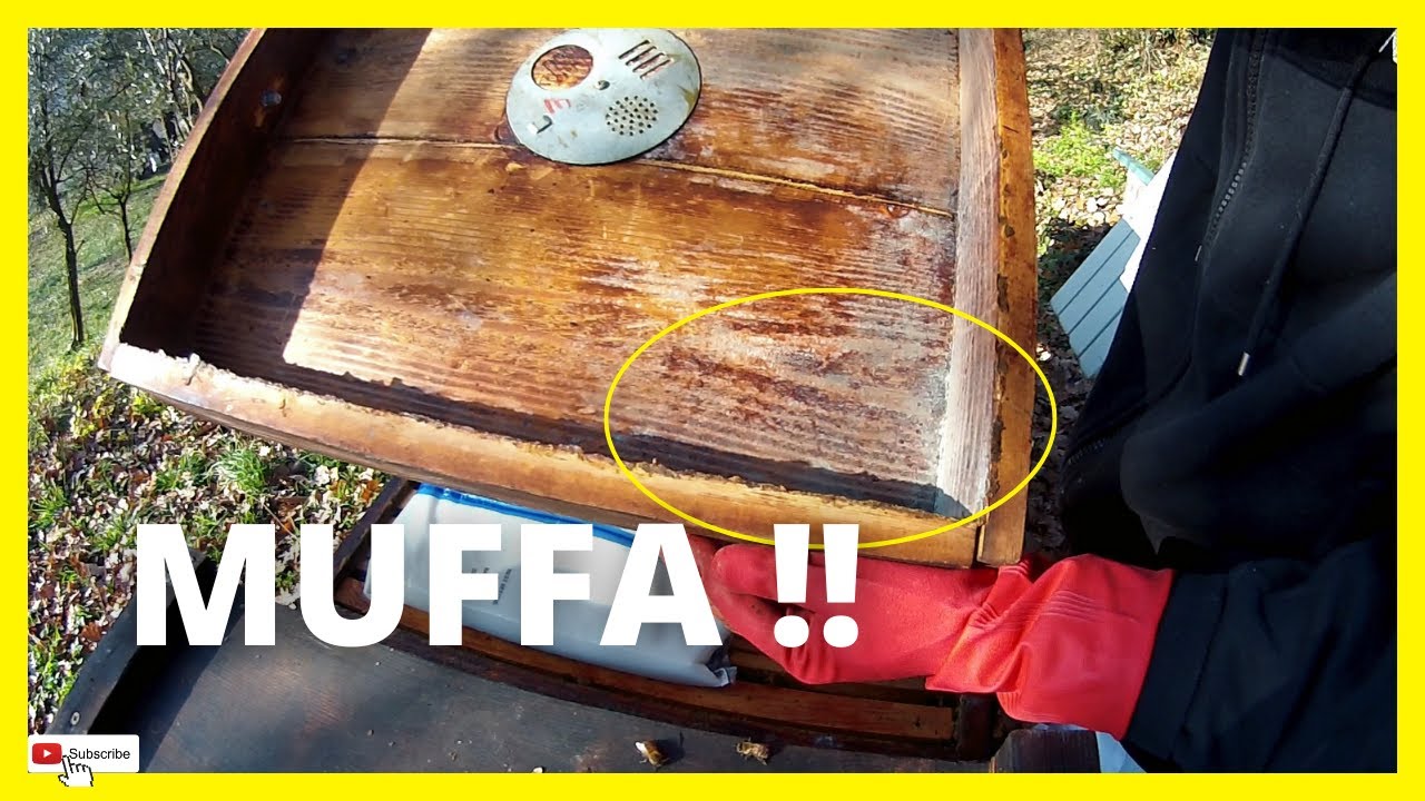 Ho dato 2,5 kg di CANDITO a tutte le famiglie
