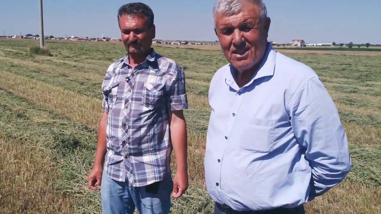 Çumra Yonca Yetiştiriciliğinde Verim Artması Nasıl Olur ?