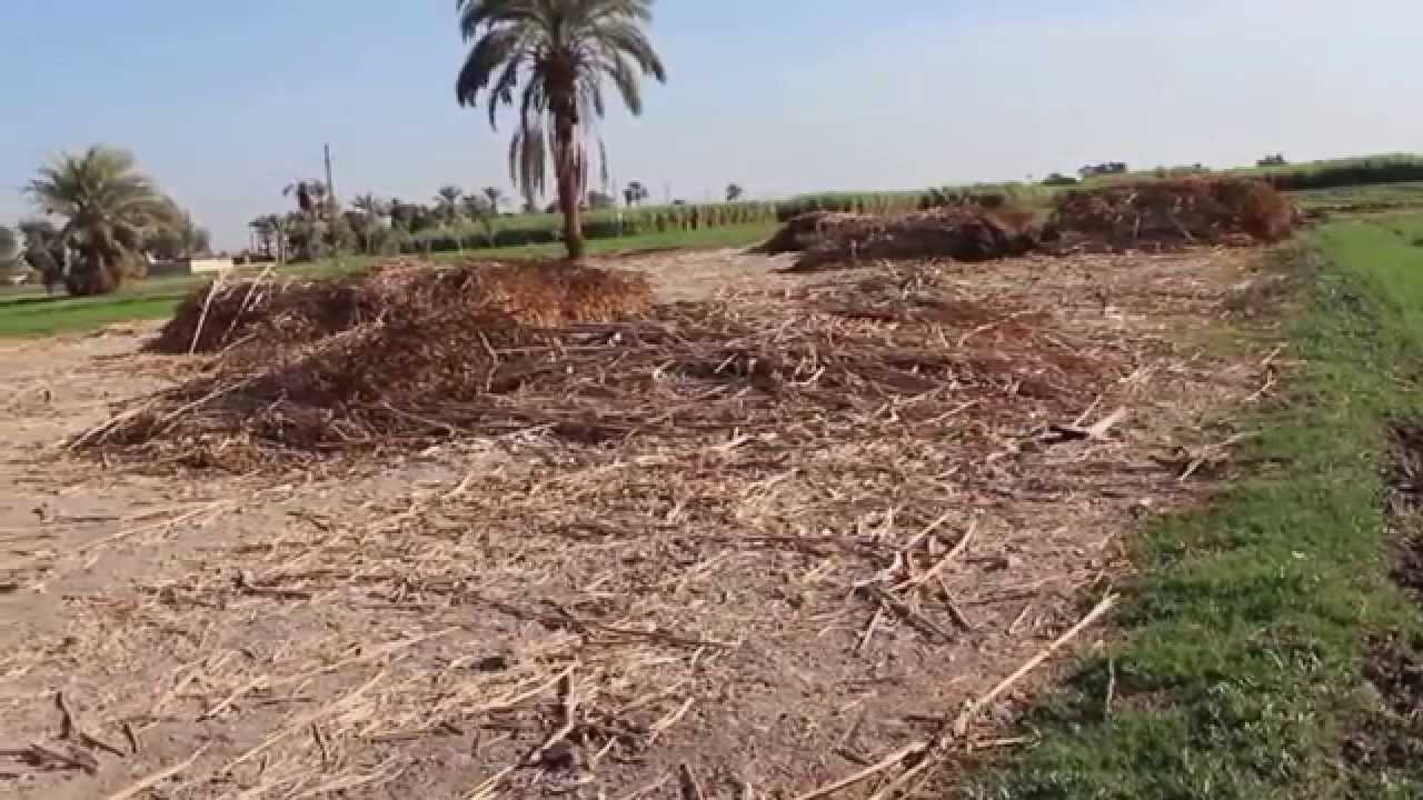 أهالي نجع الجميزة بدشنا يطالبون ببناء مدرسة ابتدائي بالقرية