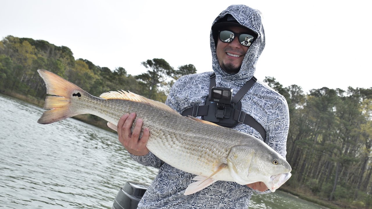 Pesca de red fish en VA. 