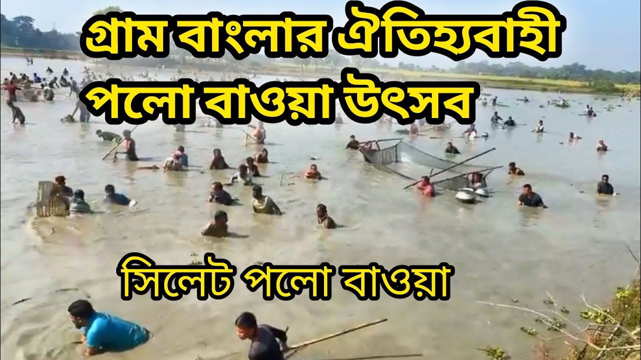 গ্রাম বাংলার ঐতিহ্যবাহী পলো বাওয়া উৎসব ||সিলেট পলো বাওয়া ||