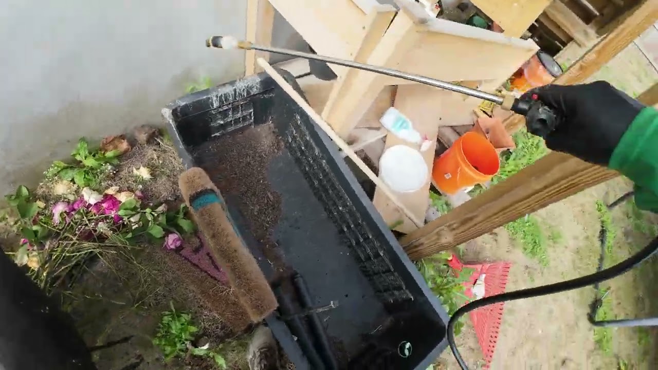 Wild Cabbage and major weed removal