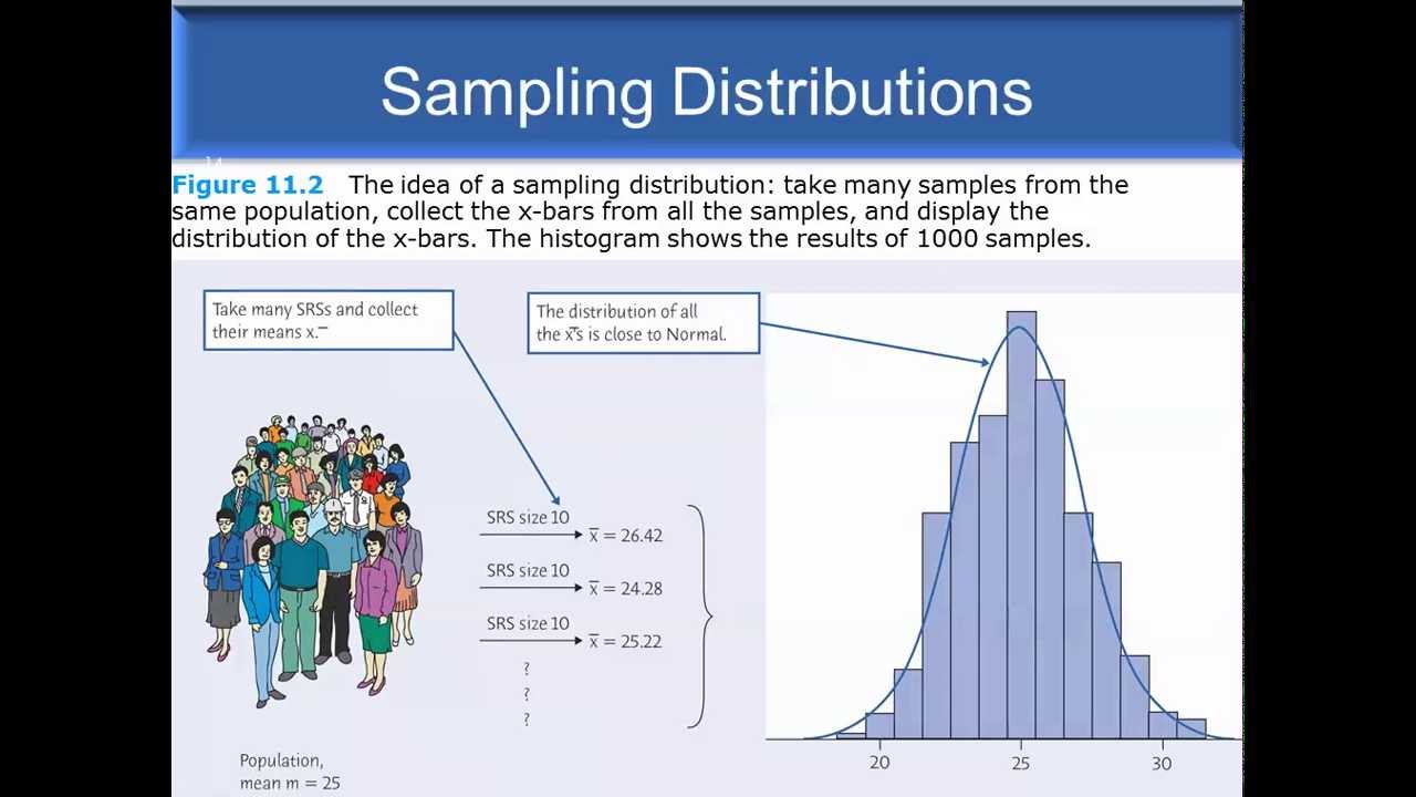 Statistical estimation and Sampling distributions