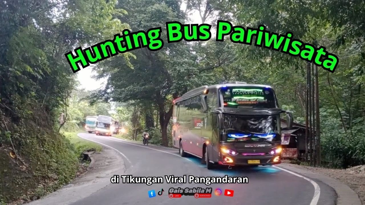 🚌HUNTING BUS PARIWISATA KEREN🤩DI TIKUNGAN VIRAL PANGANDARAN!🔥