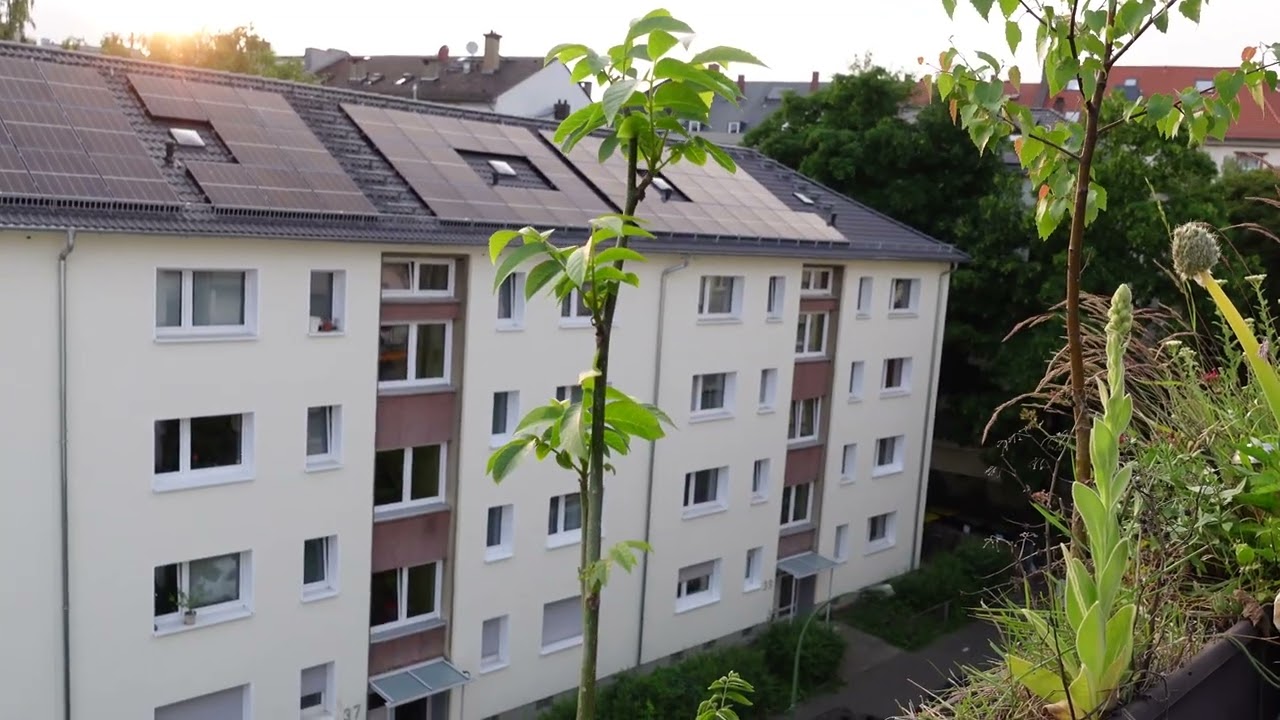 Urban Gardening, Dachgarten Teil 2