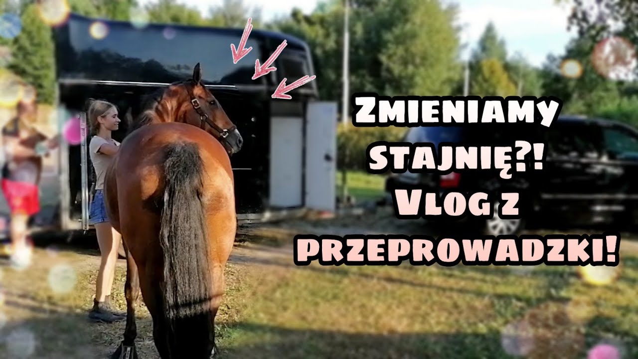 Przeprowadzka! Zmieniamy stajnię!!! VLOG Jak minęły nam pierwsze dni w nowym domku?!