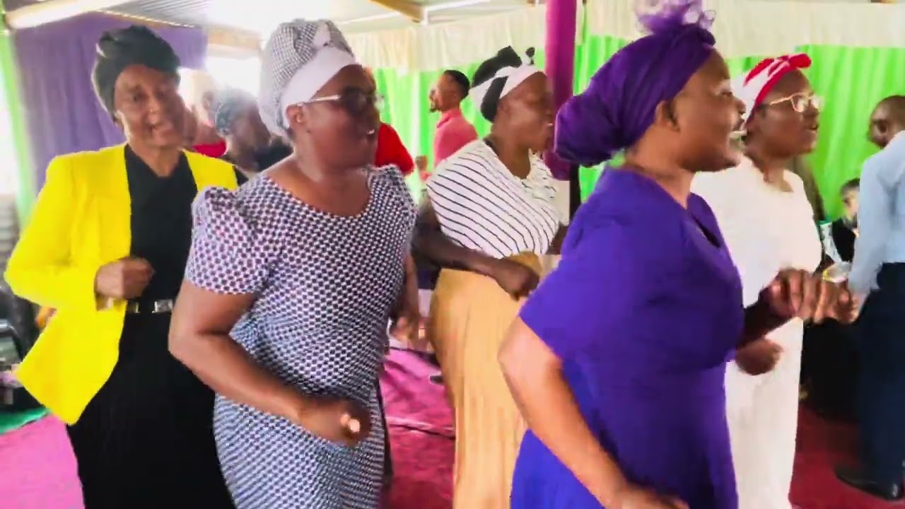 Dama meitavelo. Glory AFM Elders 