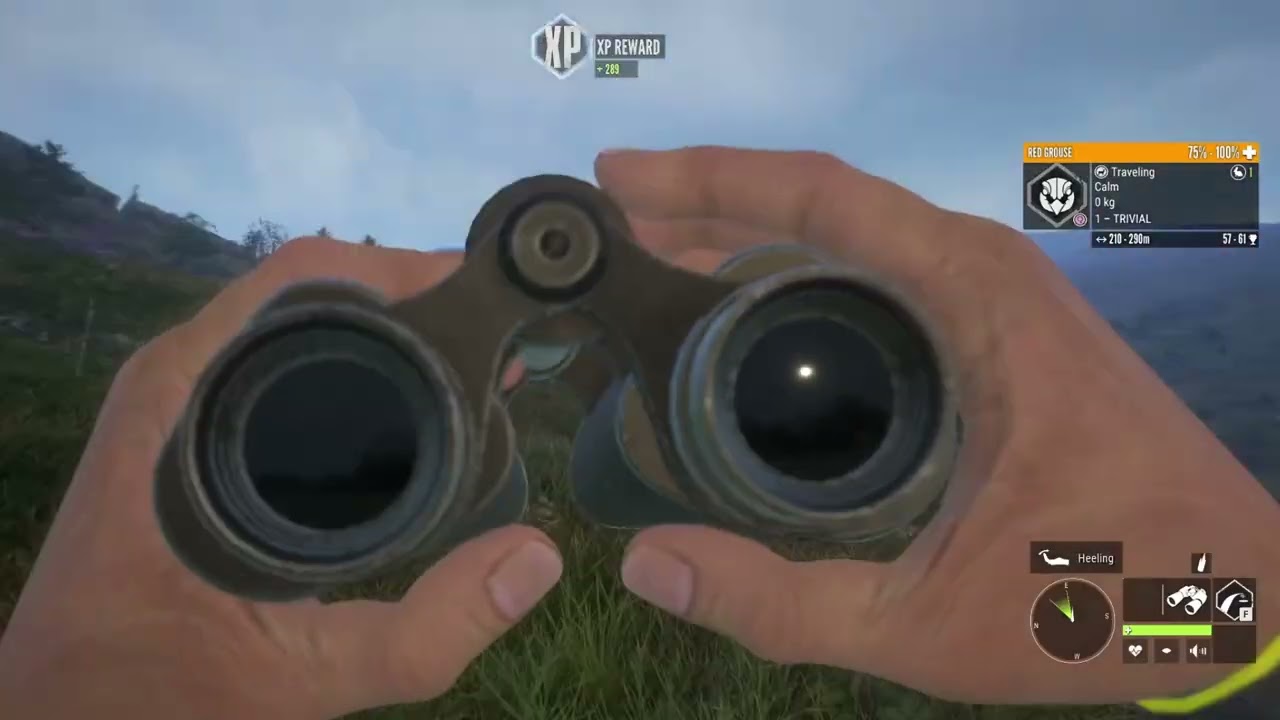 Finding Diamonds -The Hunter Call Of The Wild