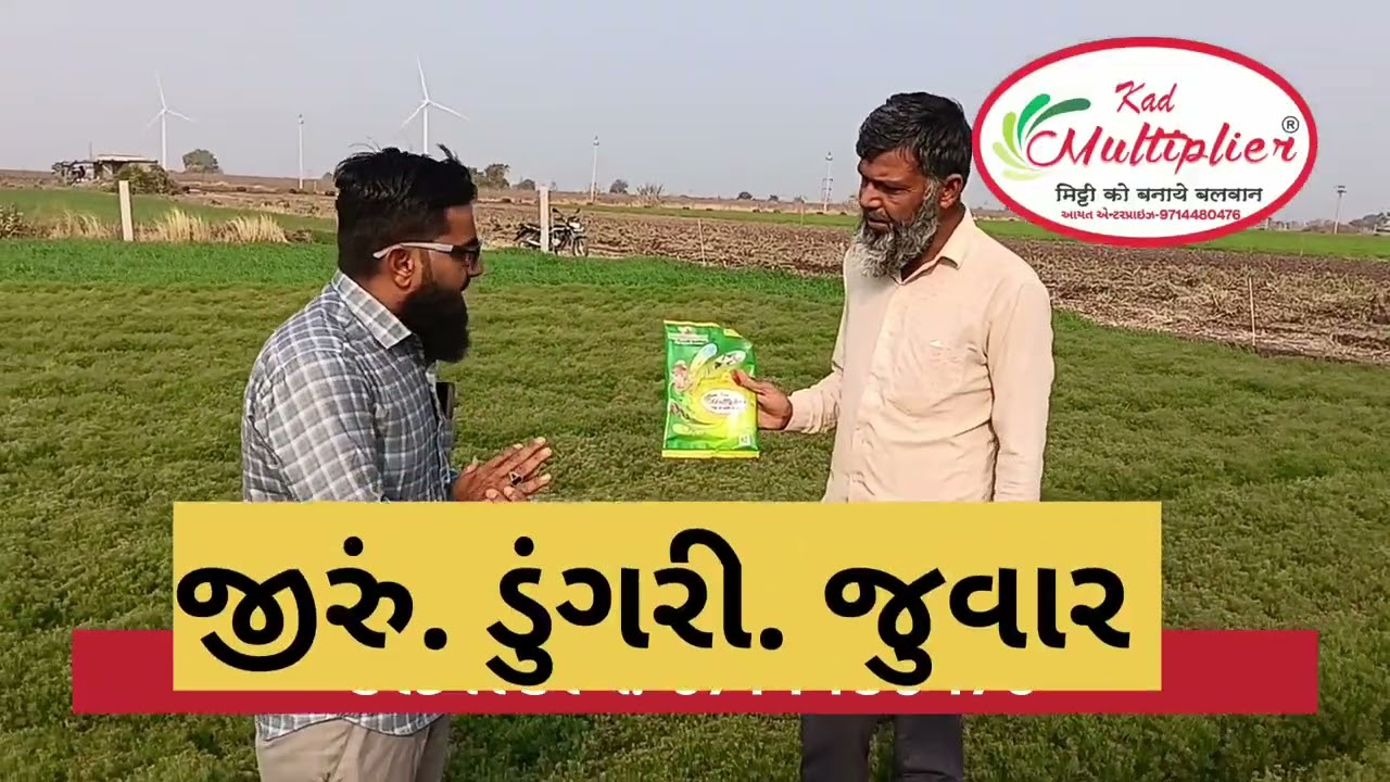 Multiplayer- જીરાના પાક જબરજસ્ત રિજલ્ટ મેળવેલ ખેડૂત ખુશ... M. 9714480476