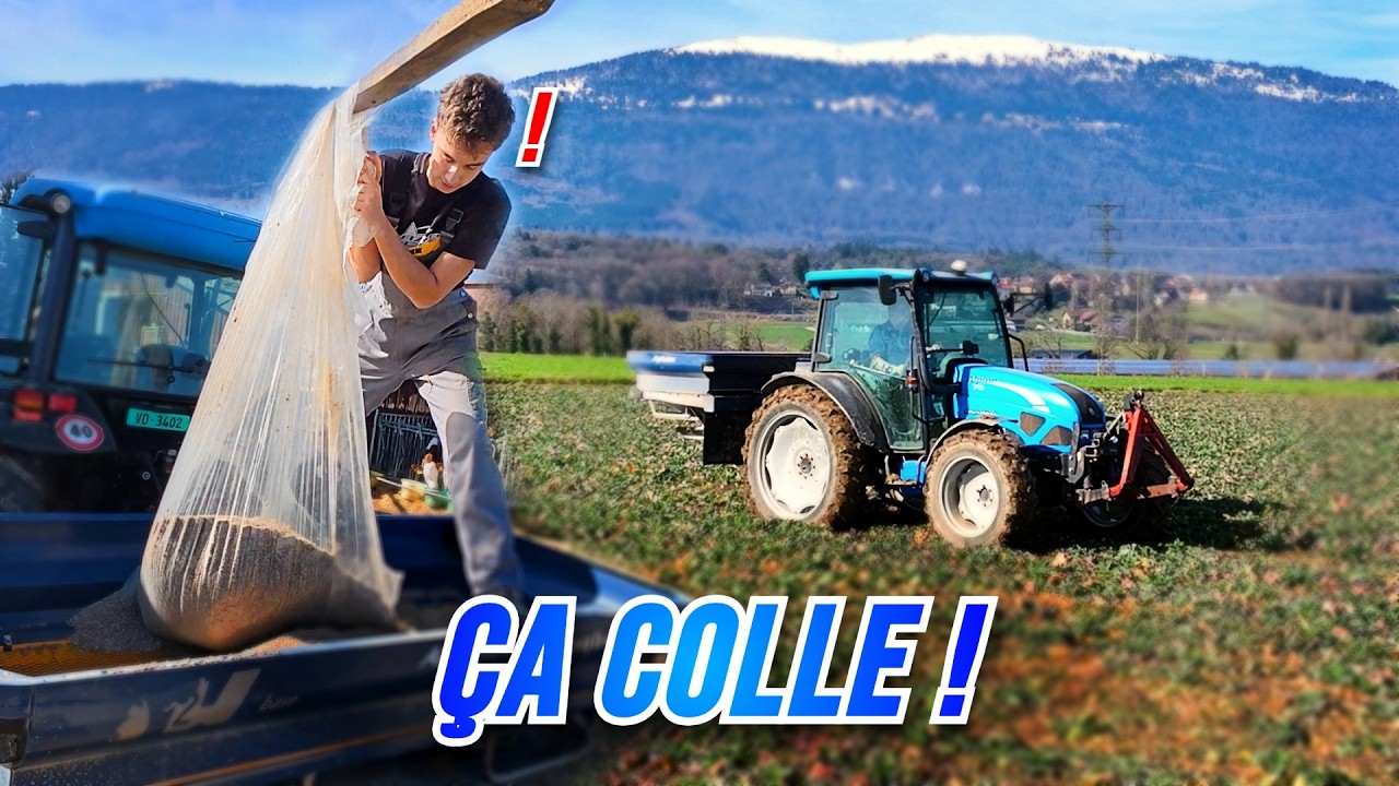 1ER APPORT SUR LES CULTURES !